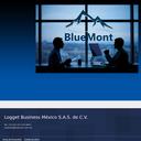 Thumbnail for www.bluemont.com.mx