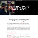 Thumbnail for www.centralparkcarriages.com