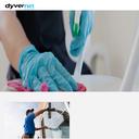 Thumbnail for www.dyvernet.fr