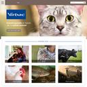 Thumbnail for www.virbac.cl