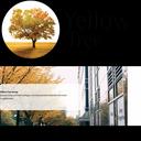 Thumbnail for www.yellowtree.com